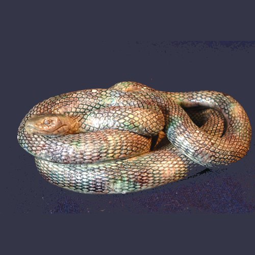palissy snake 