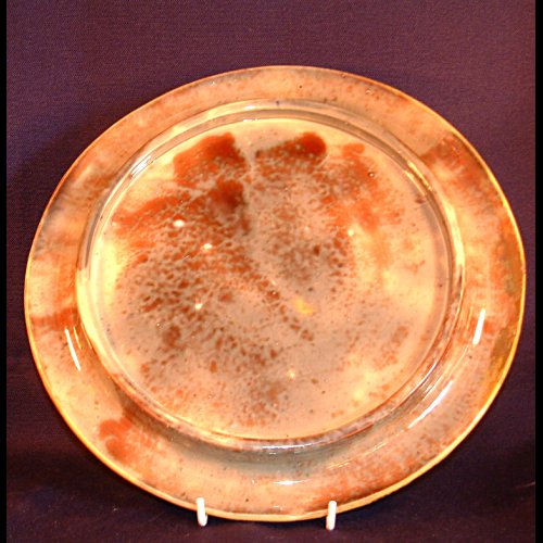 Holdcroft majolica bread plate