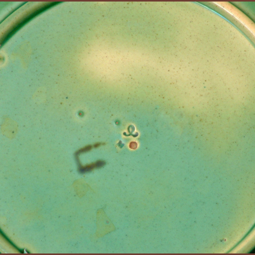 minton majolica nastertium plate