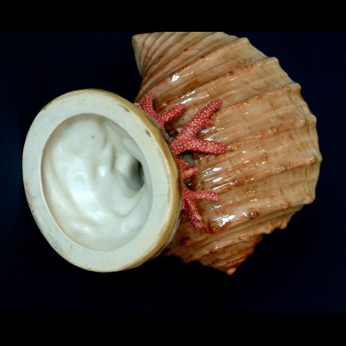 copeland majolica shell & coral vase